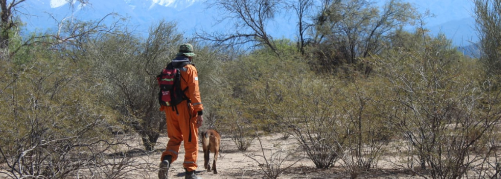 CUO: la Brigada Nacional Canina realiza búsqueda en La Rioja