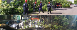 Bomberos Voluntarios sin descanso frente a los fuertes vientos y lluvias