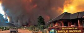 Incendio en los Alerces: más de 100 bomberos voluntarios a disposición
