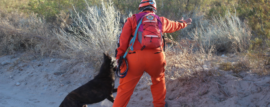 CUO: Certificación de Brigadas Caninas en Catamarca