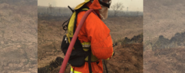 Resolución sobre  trajes forestales del Sistema Nacional de Bomberos Voluntarios