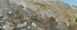 Incendio Forestal Travesía – Villa Yacanto