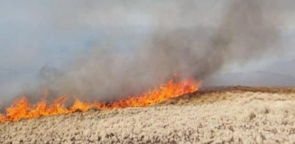 Incendios Forestales en Córdoba Incendios Forestales en Córdoba