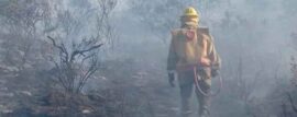 Incendios Forestales en San Luis