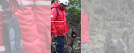 Certificación de Brigadas Caninas en Santa Fe