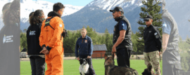 CUO: Certificación de Brigadas Caninas en Neuquén