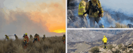 Incendios forestales en Córdoba