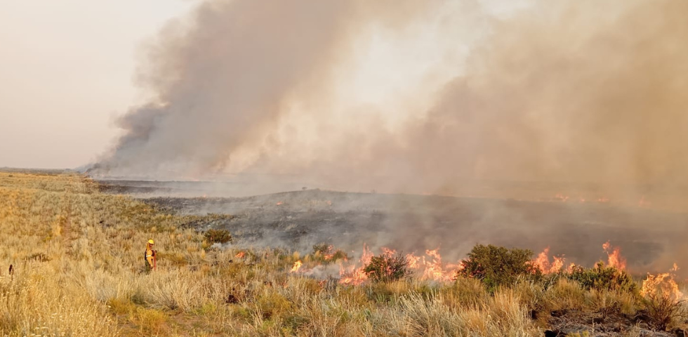 CUO Incendios Forestales en Neuquén y La Pampa